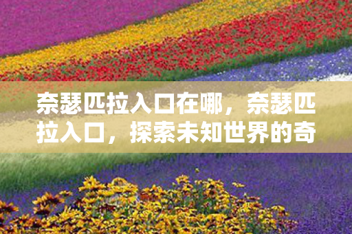 奈瑟匹拉入口在哪，奈瑟匹拉入口，探索未知世界的奇妙之旅