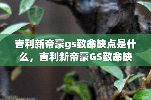 吉利新帝豪gs致命缺点是什么，吉利新帝豪GS致命缺点，细节决定成败