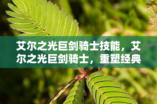 艾尔之光巨剑骑士技能，艾尔之光巨剑骑士，重塑经典，重塑荣耀