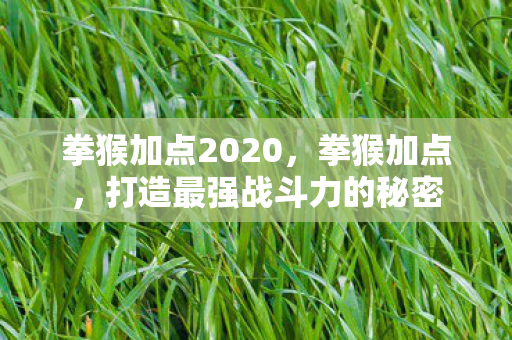 拳猴加点2020，拳猴加点，打造最强战斗力的秘密