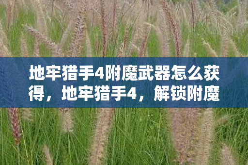 地牢猎手4附魔武器怎么获得，地牢猎手4，解锁附魔武器的奥秘