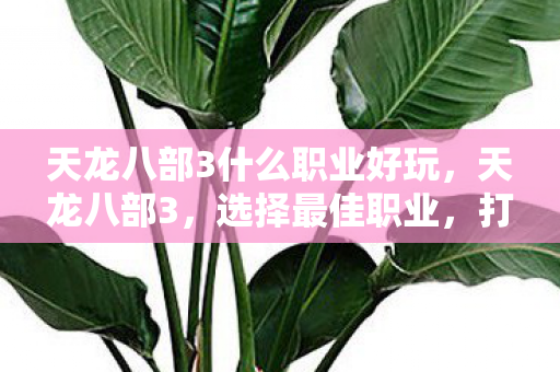 天龙八部3什么职业好玩，天龙八部3，选择最佳职业，打造卓越角色