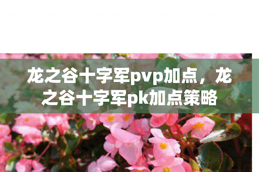龙之谷十字军pvp加点，龙之谷十字军pk加点策略