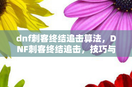 dnf刺客终结追击算法，DNF刺客终结追击，技巧与策略的深度解析