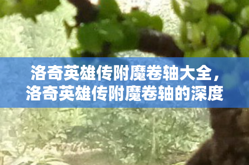 洛奇英雄传附魔卷轴大全，洛奇英雄传附魔卷轴的深度解析