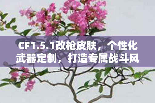 CF1.5.1改枪皮肤，个性化武器定制，打造专属战斗风格