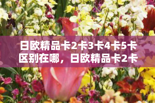 日欧精品卡2卡3卡4卡5卡区别在哪，日欧精品卡2卡3卡4卡5卡区别