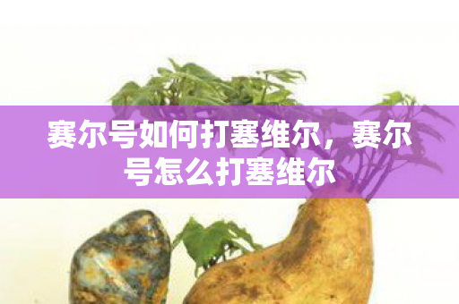 赛尔号如何打塞维尔，赛尔号怎么打塞维尔