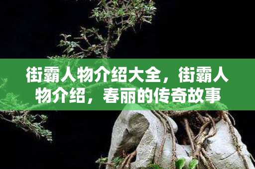 街霸人物介绍大全，街霸人物介绍，春丽的传奇故事