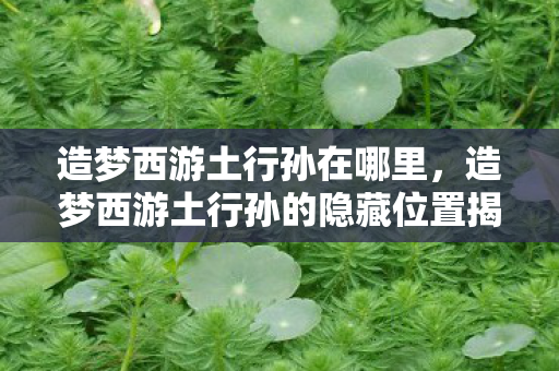 造梦西游土行孙在哪里，造梦西游土行孙的隐藏位置揭秘