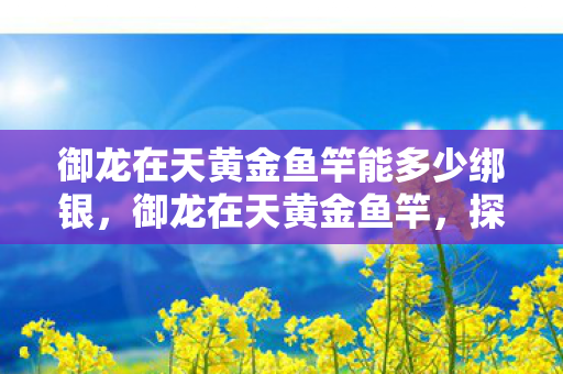 御龙在天黄金鱼竿能多少绑银，御龙在天黄金鱼竿，探寻游戏中的珍稀宝藏