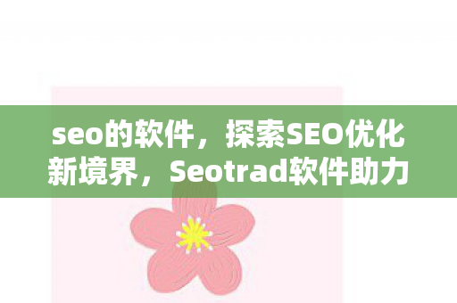 seo的软件，探索SEO优化新境界，Seotrad软件助力企业高效运营