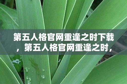 第五人格官网重逢之时下载，第五人格官网重逢之时，探索游戏世界的无限可能