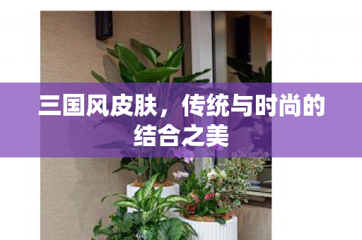 三国风皮肤，传统与时尚的结合之美