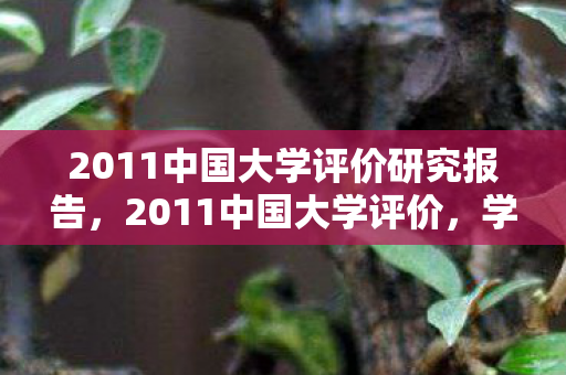 2011中国大学评价研究报告，2011中国大学评价，学术与科研的崛起与变革