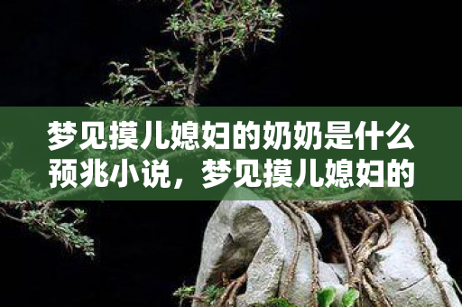 梦见摸儿媳妇的奶奶是什么预兆小说，梦见摸儿媳妇的奶奶，探索梦境背后的深层含义