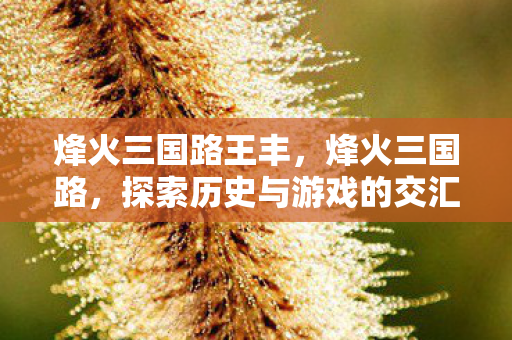 烽火三国路王丰，烽火三国路，探索历史与游戏的交汇点