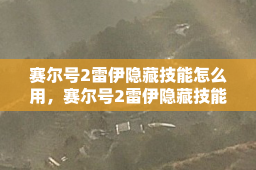 赛尔号2雷伊隐藏技能怎么用，赛尔号2雷伊隐藏技能，解锁未知力量的关键