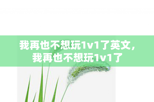 我再也不想玩1v1了英文，我再也不想玩1v1了
