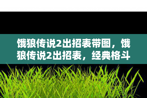 饿狼传说2出招表带图，饿狼传说2出招表，经典格斗游戏中的技巧与策略