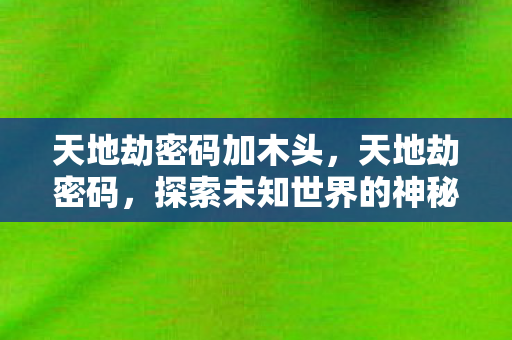 天地劫密码加木头，天地劫密码，探索未知世界的神秘钥匙