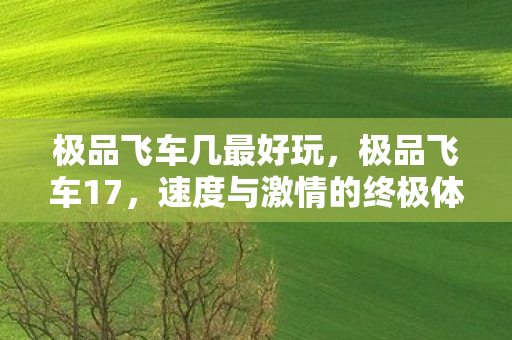 极品飞车几最好玩，极品飞车17，速度与激情的终极体验