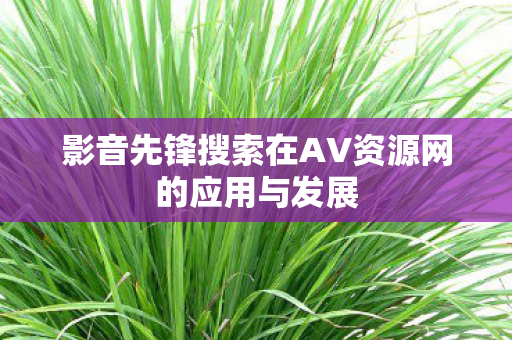 影音先锋搜索在AV资源网的应用与发展 影音先锋搜索在AV资源网的应用与发展