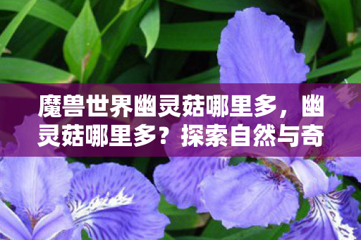 魔兽世界幽灵菇哪里多，幽灵菇哪里多？探索自然与奇幻的交汇点