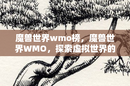 魔兽世界wmo榜，魔兽世界WMO，探索虚拟世界的奇妙之旅