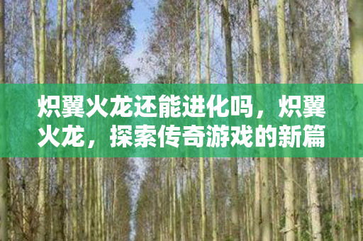 炽翼火龙还能进化吗，炽翼火龙，探索传奇游戏的新篇章