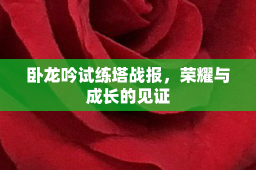 卧龙吟试练塔战报，荣耀与成长的见证