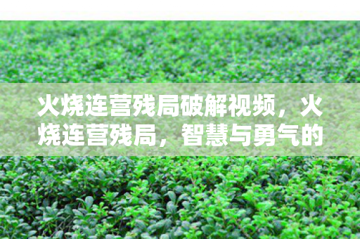 火烧连营残局破解视频，火烧连营残局，智慧与勇气的较量