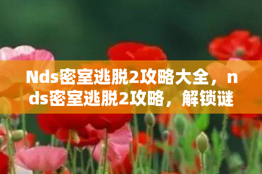 Nds密室逃脱2攻略大全，nds密室逃脱2攻略，解锁谜题，逃出密室！