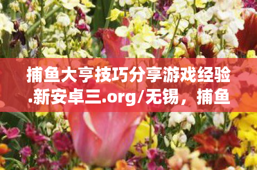 捕鱼大亨技巧分享游戏经验.新安卓三.org/无锡，捕鱼大亨技巧，提升捕鱼效率与赢率的策略