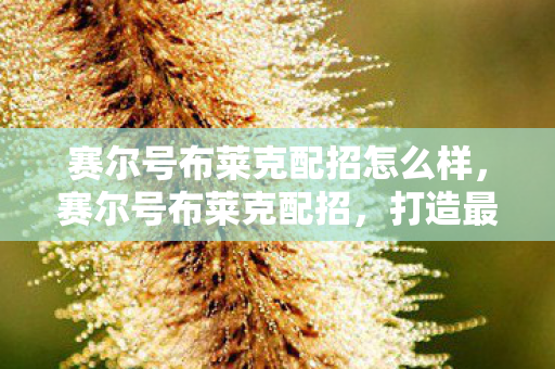 赛尔号布莱克配招怎么样，赛尔号布莱克配招，打造最强战斗阵容