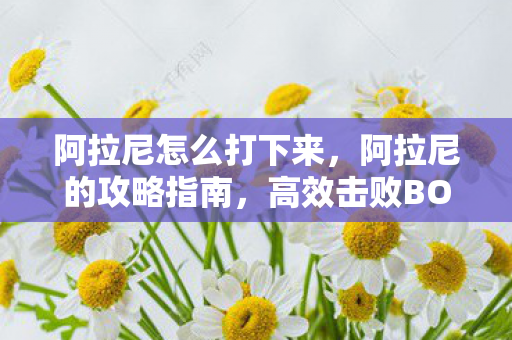 阿拉尼怎么打下来，阿拉尼的攻略指南，高效击败BOSS的实战策略