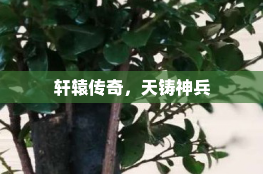轩辕传奇,天铸神兵 轩辕传奇,天铸神兵