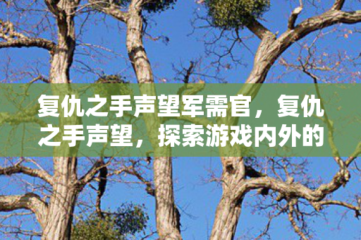 复仇之手声望军需官，复仇之手声望，探索游戏内外的荣耀与挑战