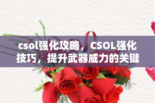 csol强化攻略，CSOL强化技巧，提升武器威力的关键步骤