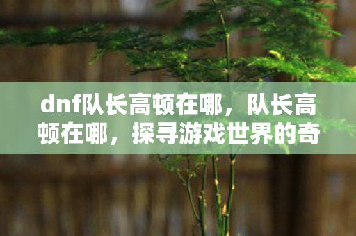 dnf队长高顿在哪，队长高顿在哪，探寻游戏世界的奇妙之旅