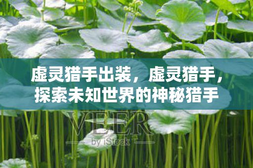 虚灵猎手出装，虚灵猎手，探索未知世界的神秘猎手