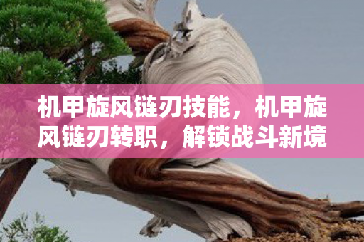 机甲旋风链刃技能，机甲旋风链刃转职，解锁战斗新境界