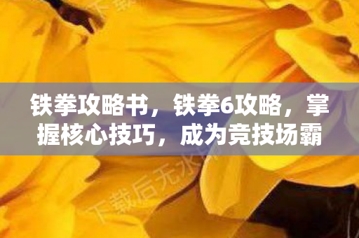 铁拳攻略书，铁拳6攻略，掌握核心技巧，成为竞技场霸主
