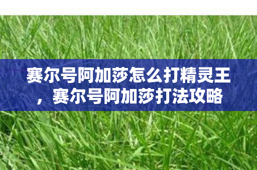 赛尔号阿加莎怎么打精灵王，赛尔号阿加莎打法攻略