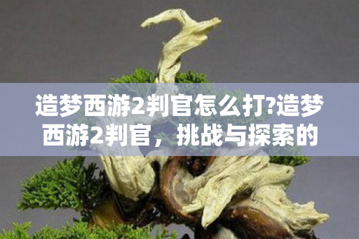造梦西游2判官怎么打?造梦西游2判官，挑战与探索的奇幻之旅