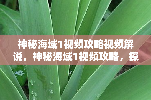 神秘海域1视频攻略视频解说，神秘海域1视频攻略，探索宝藏的终极指南