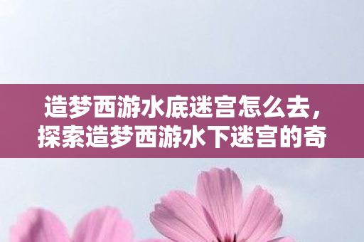 造梦西游水底迷宫怎么去，探索造梦西游水下迷宫的奇幻之旅