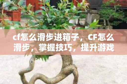 cf怎么滑步进箱子，CF怎么滑步，掌握技巧，提升游戏速度