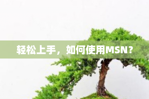 轻松上手，如何使用MSN？