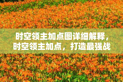 时空领主加点图详细解释，时空领主加点，打造最强战斗力的策略指南